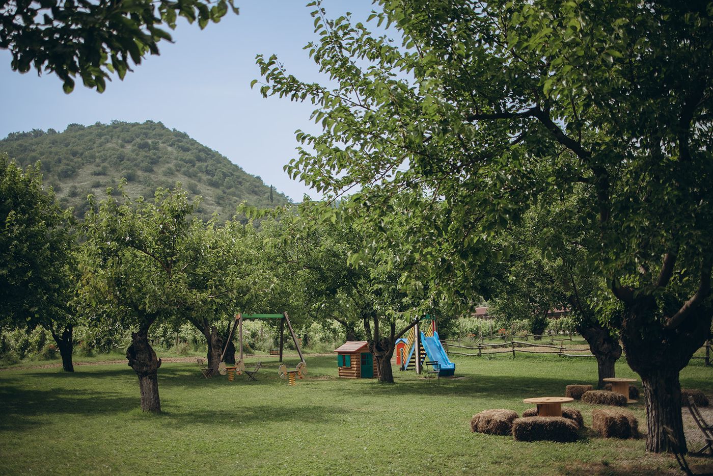 Il pescheto tra le colline